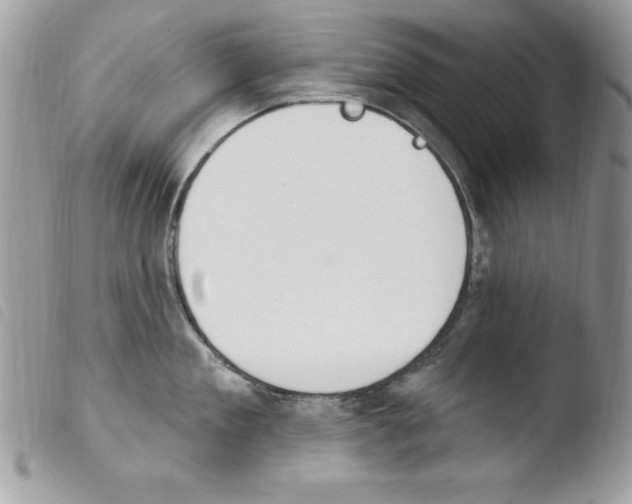 X0000103950909200810171835