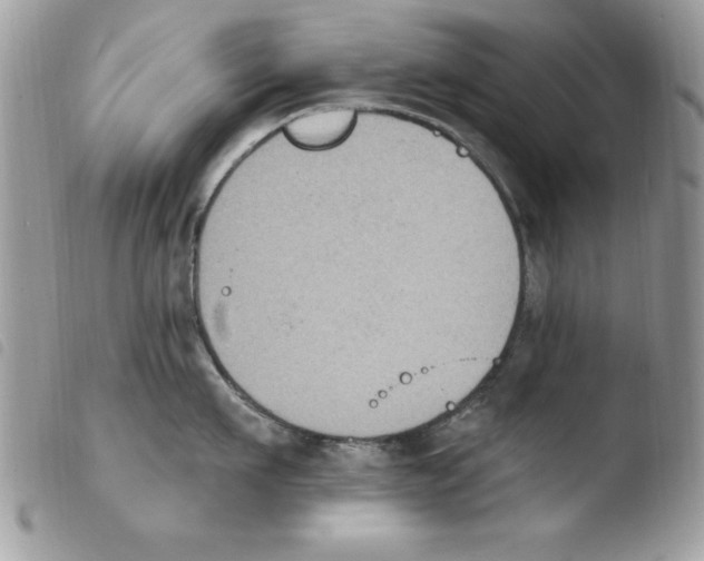 X0000103950911200810171835