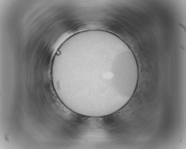 X0000103950912200810171835