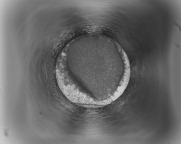 X0000103950913200810171834