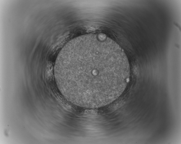 X0000103950914200810171834