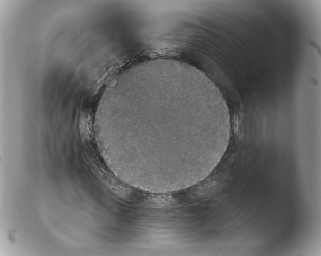 X0000103950915200810171834