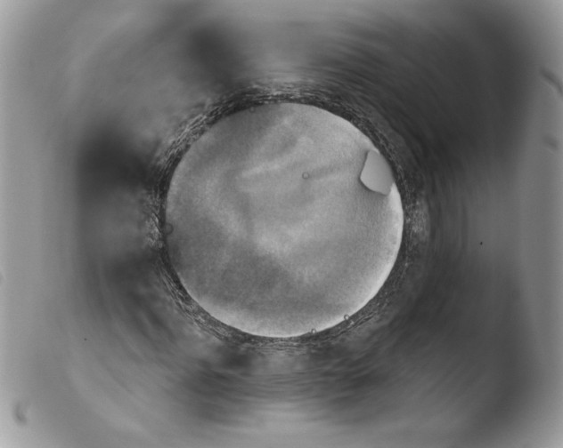 X0000103950916200810171834