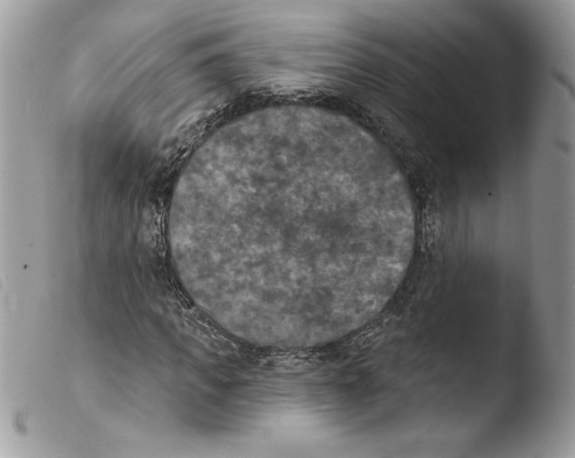 X0000103950917200810171834