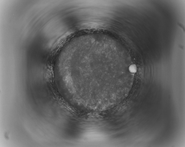 X0000103950918200810171834