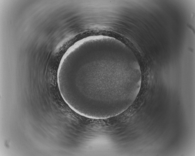 X0000103950919200810171834