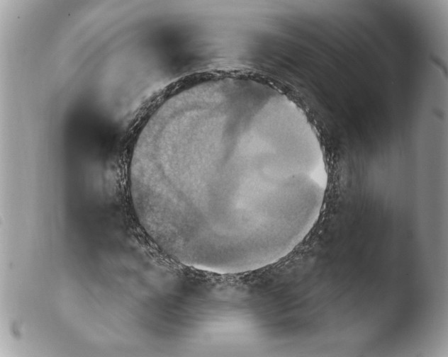 X0000103950920200810171834