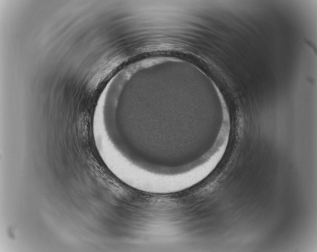 X0000103950921200810171834