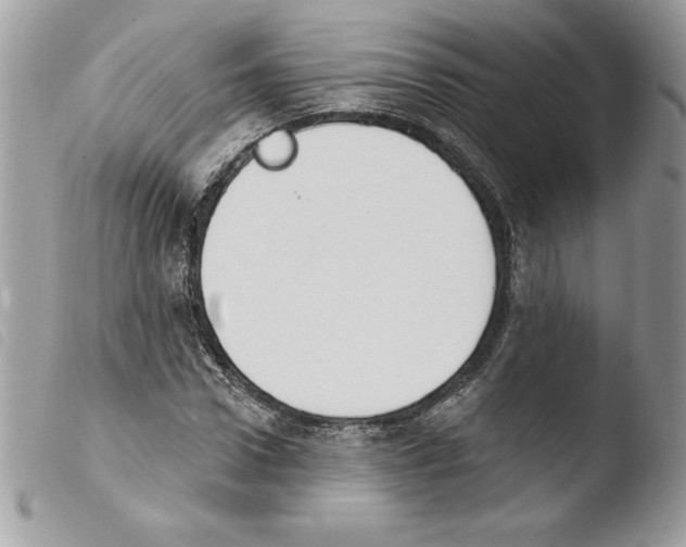 X0000103950922200810171834