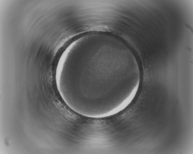 X0000103950923200810171834