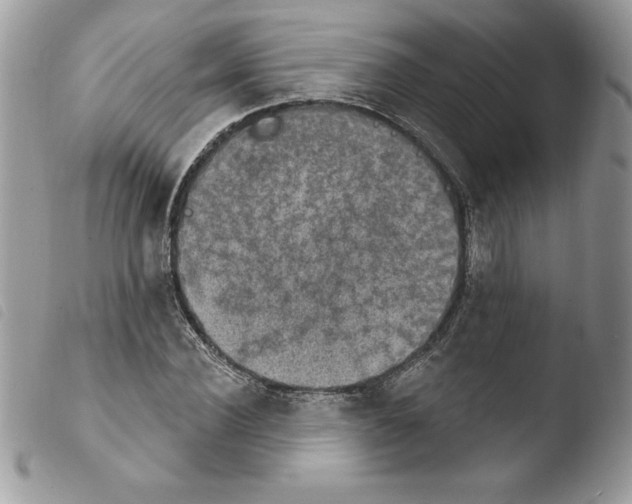 X0000103950924200810171834