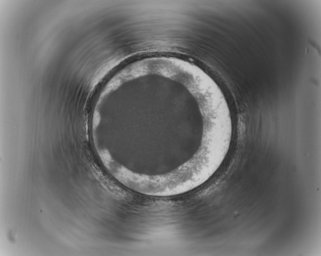 X0000103950925200810171834