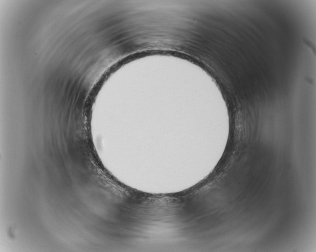X0000103950926200810171834