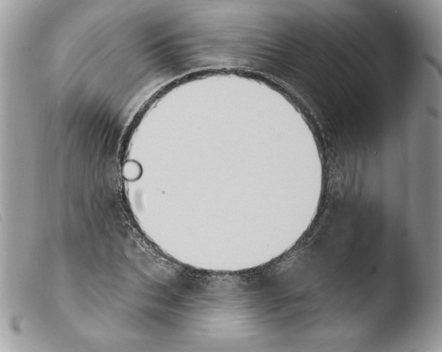 X0000103950927200810171834