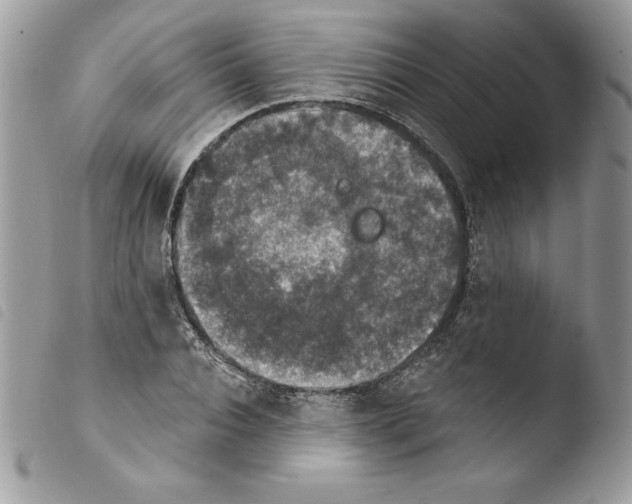 X0000103950928200810171834