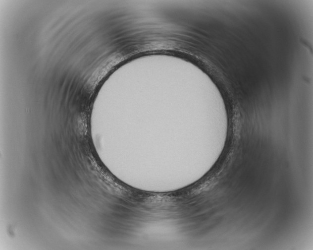X0000103950929200810171834