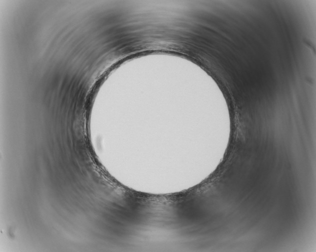 X0000103950931200810171834