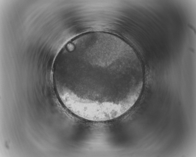 X0000103950932200810171834