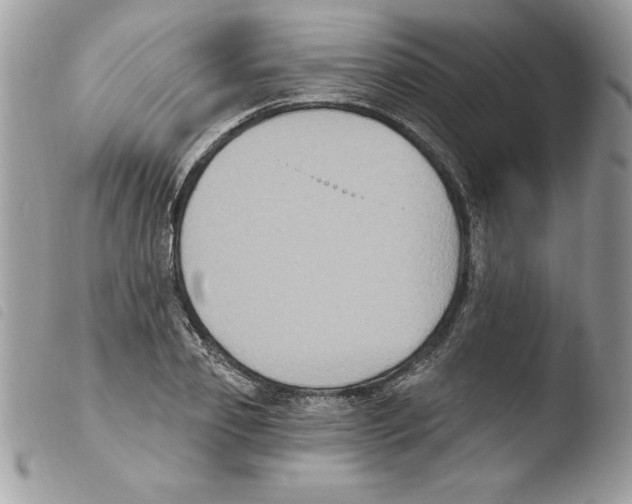 X0000103950933200810171834