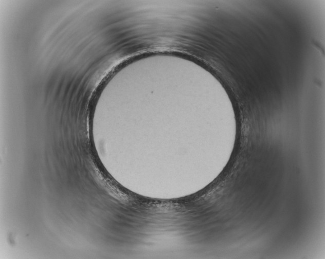 X0000103950934200810171834