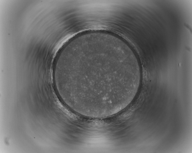 X0000103950935200810171834