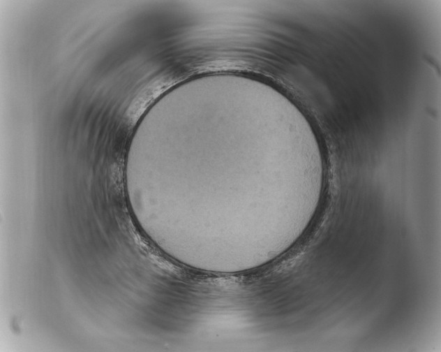 X0000103950937200810171835