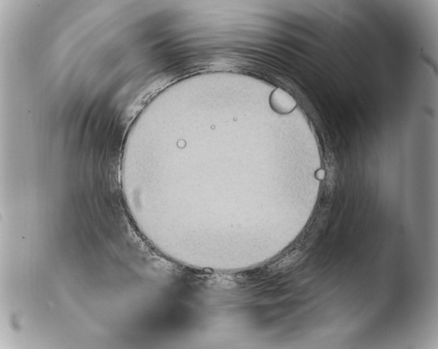 X0000103950938200810171835