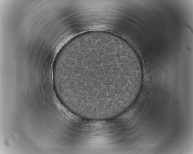 X0000103950939200810171835