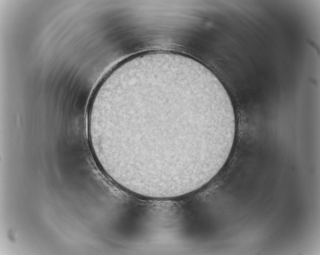 X0000103950940200810171835