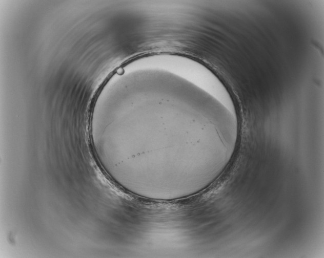 X0000103950941200810171835