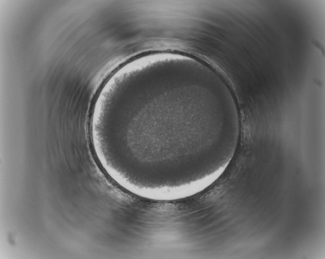 X0000103950943200810171835