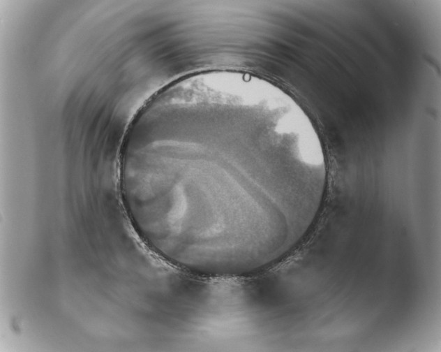 X0000103950944200810171835