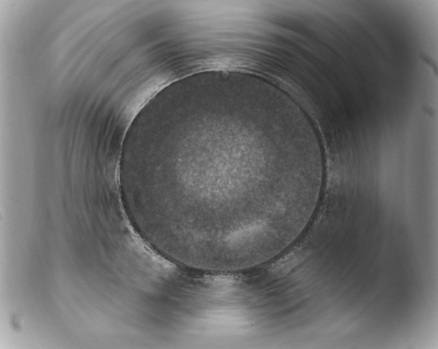 X0000103950946200810171835