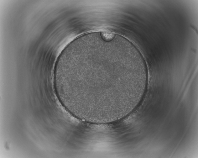 X0000103950949200810171835