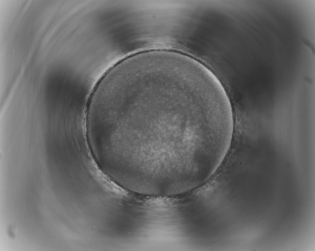 X0000103950950200810171835