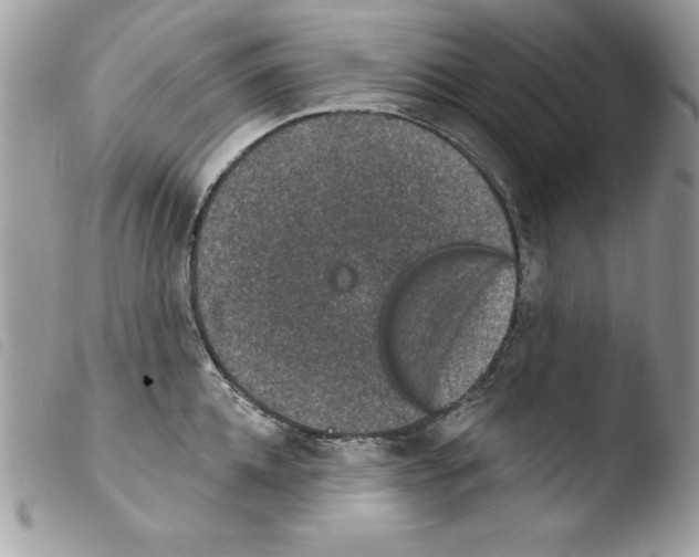 X0000103950952200810171835