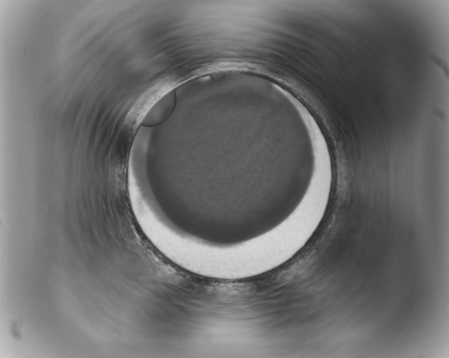 X0000103950953200810171835