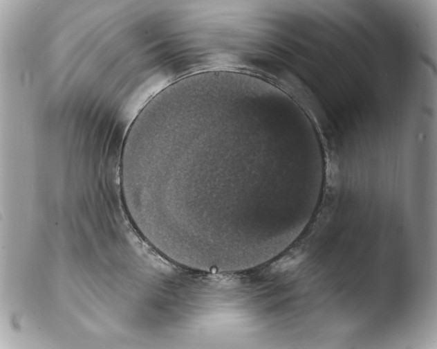 X0000103950954200810171835
