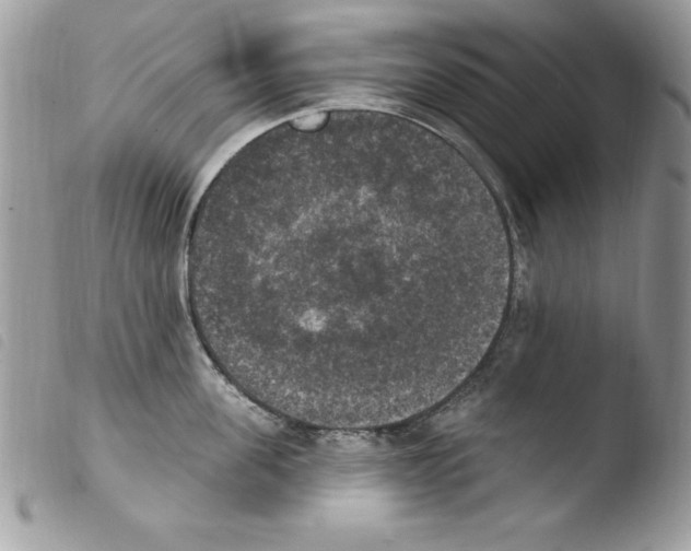 X0000103950955200810171835