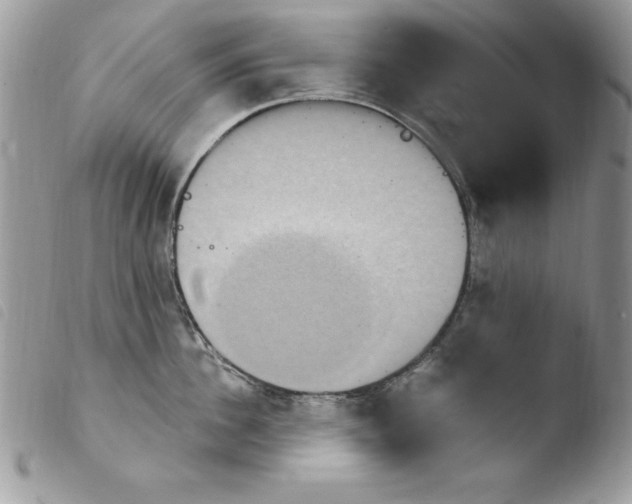 X0000103950956200810171835