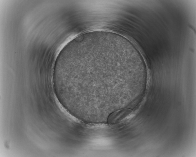 X0000103950957200810171835