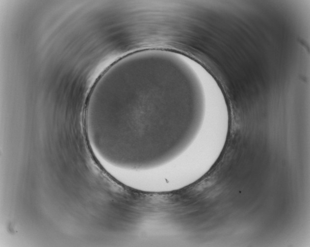 X0000103950958200810171835