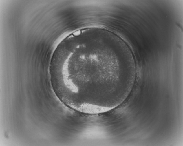 X0000103950959200810171835