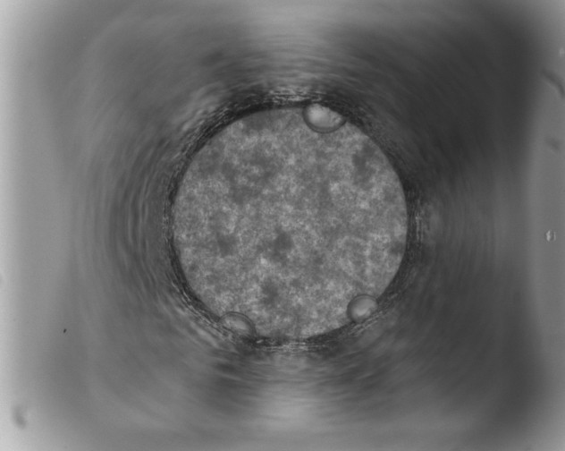 X0000103950961200810171834