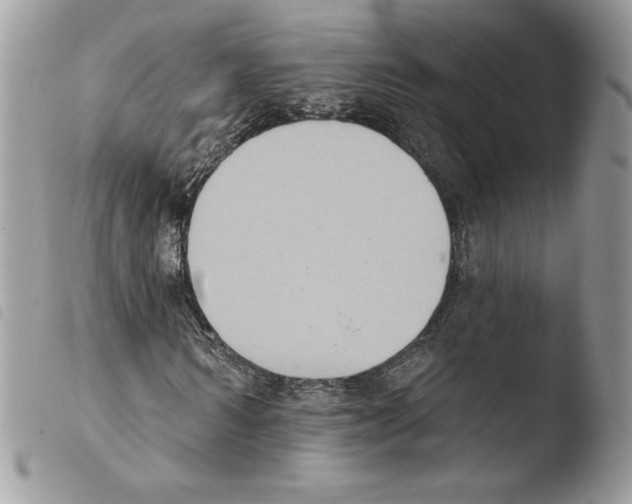 X0000103950962200810171834