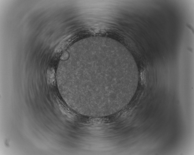 X0000103950963200810171834