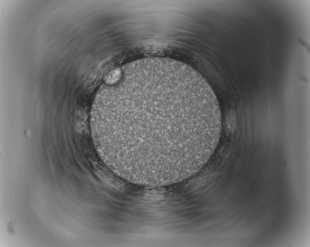 X0000103950964200810171834