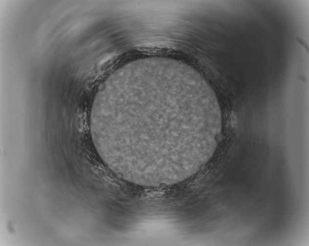 X0000103950965200810171834