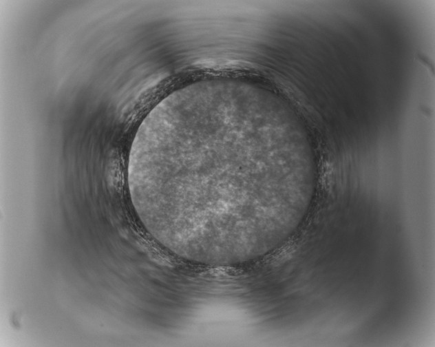 X0000103950966200810171834