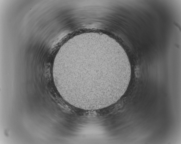 X0000103950968200810171834